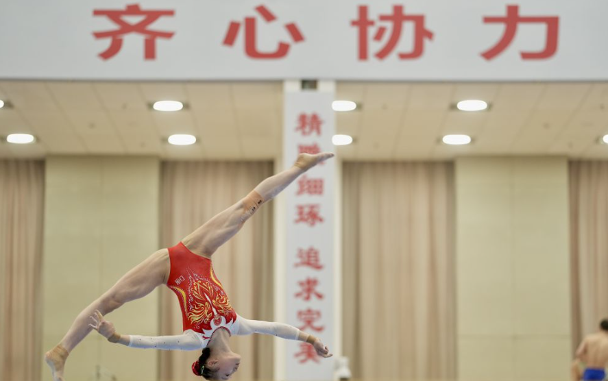 乐竞体育官网登录网站优化建议